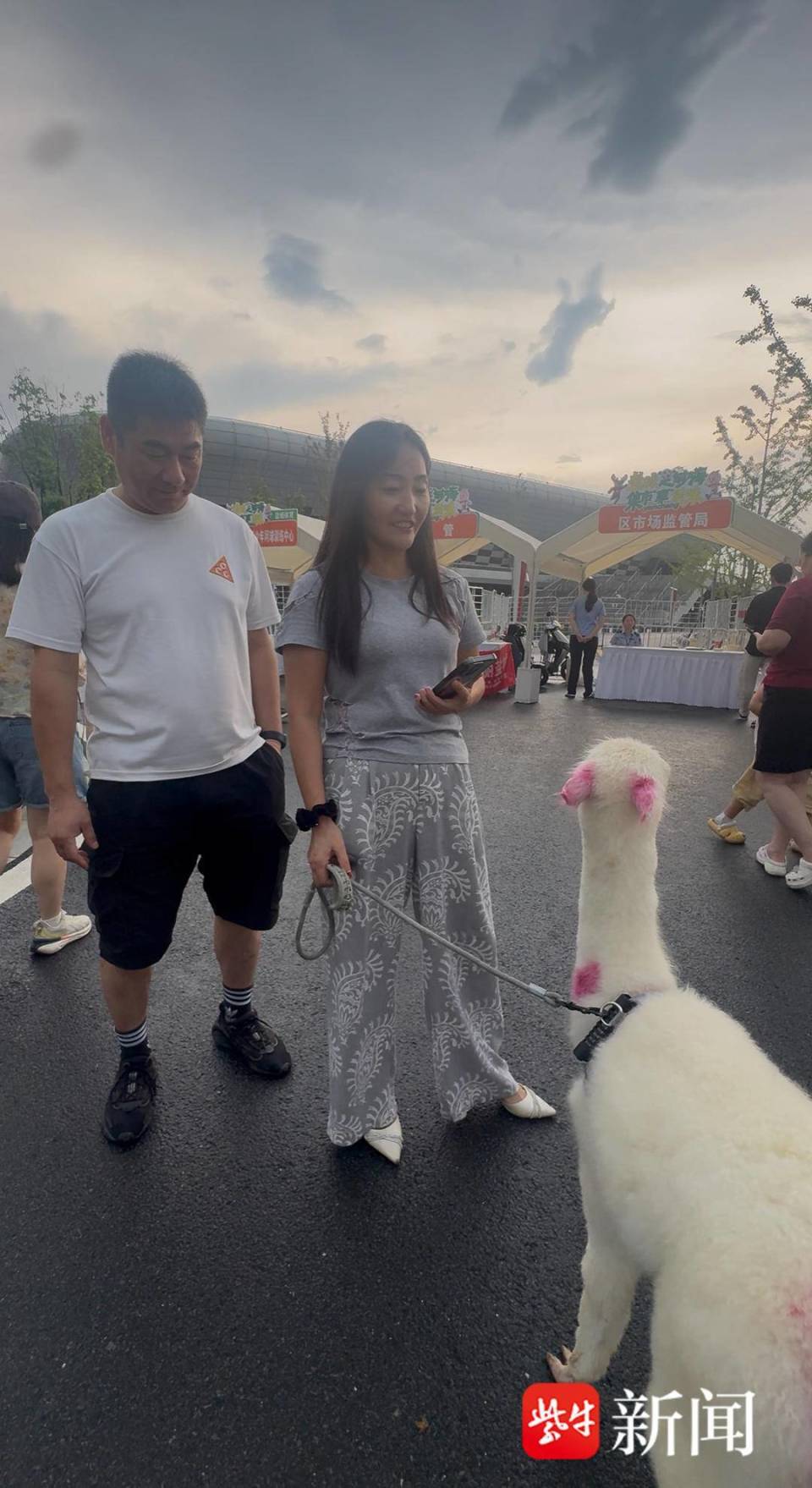 加油