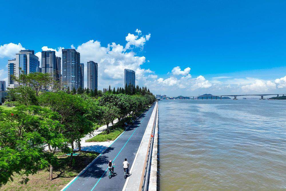 场地数量从, 显示屏 场地数量从, 显示屏